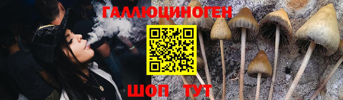 Галлюциногенные грибы Cubensis Алексеевка