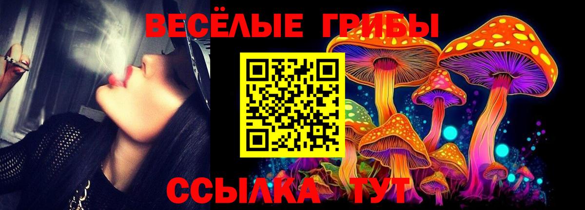 Алексеевка  Псилоцибиновые грибы мицелий  Вход с VPN 